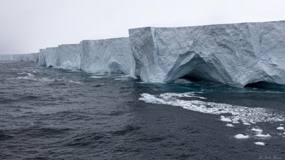 OTL25-25, Day 11, Iceberg A23a 2 © Sara Jenner - Oceanwide Expeditions.jpg
