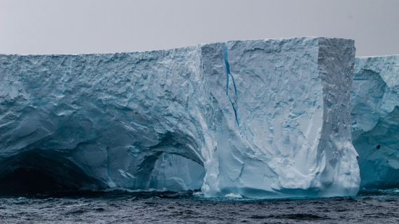 OTL25-25, Day 11, IMG_4689 © Unknown photographer - Oceanwide Expeditions.jpg