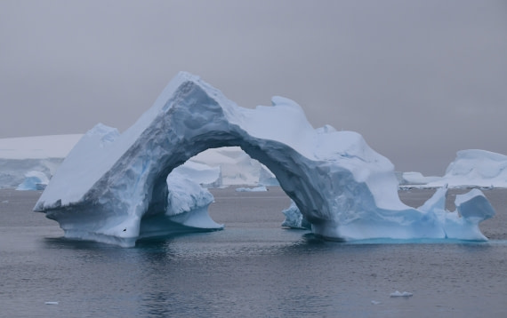 OTL25-25, Day 15, Zeppelin hangar © Unknown photographer - Oceanwide Expeditions.JPG