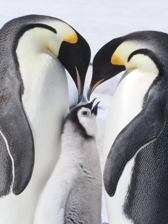 Surrounded by warm heart