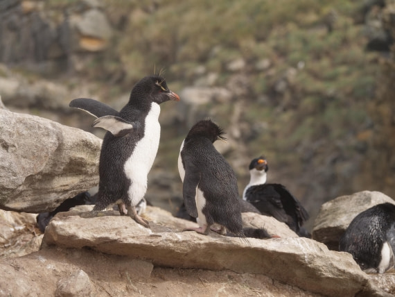 HDS25-25, Day 3, Jade-HDS25-25-Day3 (4) © Jade Heister - Oceanwide Expeditions.JPG