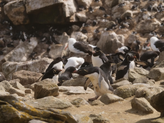 HDS25-25, Day 3, Jade-HDS25-25-Day3 (9) © Jade Heister - Oceanwide Expeditions.JPG