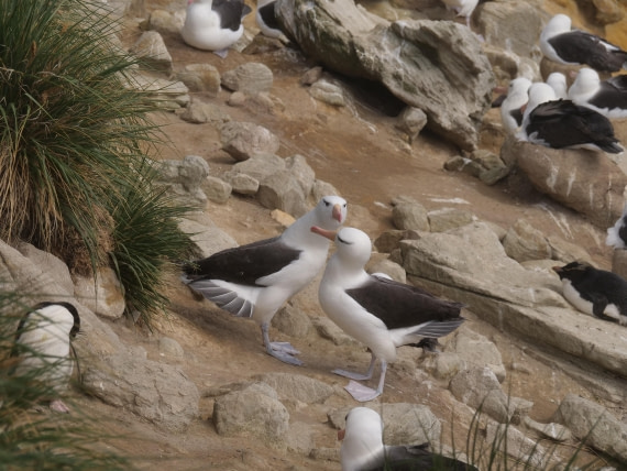 HDS25-25, Day 3, Jade-HDS25-25-Day3 (11) © Jade Heister - Oceanwide Expeditions.JPG