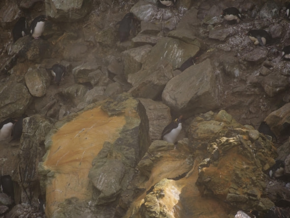 HDS25-25, Day 3, Jade-HDS25-25-Day3 (13) © Jade Heister - Oceanwide Expeditions.JPG