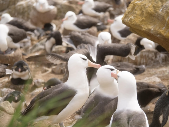 HDS25-25, Day 3, Jade-HDS25-25-Day3 (14) © Jade Heister - Oceanwide Expeditions.JPG
