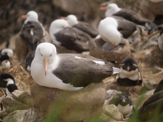 HDS25-25, Day 3, Jade-HDS25-25-Day3 (15) © Jade Heister - Oceanwide Expeditions.JPG