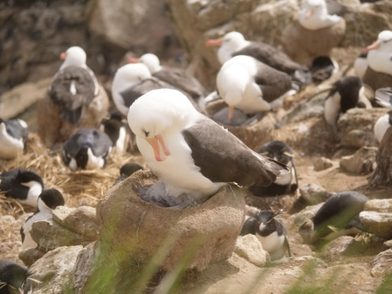 HDS25-25, Day 3, Jade-HDS25-25-Day3 (17) © Jade Heister - Oceanwide Expeditions.JPG