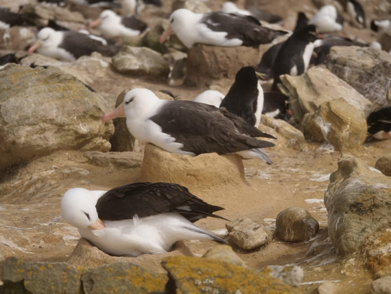 HDS25-25, Day 3, Jade-HDS25-25-Day3 (18) © Jade Heister - Oceanwide Expeditions.JPG