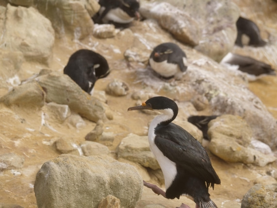 HDS25-25, Day 3, Jade-HDS25-25-Day3 (24) © Jade Heister - Oceanwide Expeditions.JPG