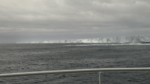 HDS25-25, Day 6, IMG_4247 © Unknown photographer - Oceanwide Expeditions.JPG