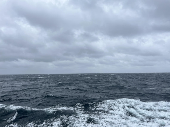 HDS25-25, Day 6, IMG_8242 © Unknown photographer - Oceanwide Expeditions.JPG