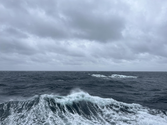 HDS25-25, Day 6, IMG_8243 © Unknown photographer - Oceanwide Expeditions.JPG