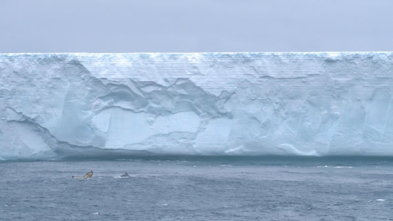 HDS25-25, Day 6, Jade-HDS25-25 Day 6 (1) © Jade Heister - Oceanwide Expeditions.JPG