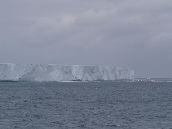 HDS25-25, Day 6, Jade-HDS25-25 Day 6 (5) © Jade Heister - Oceanwide Expeditions.JPG