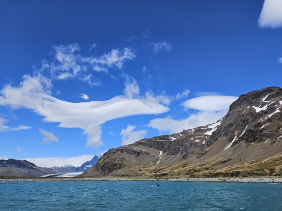 HDS25-25, Day 7, Fortuna Bay - Sas 2 © Saskia van der Meij - Oceanwide Expeditions.jpg