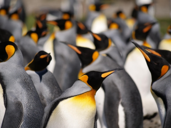 HDS25-25, Day 7, Jade-HDS25-25-Day7 (4) © Jade Heister - Oceanwide Expeditions.JPG