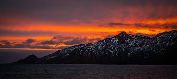 HDS25-25, Day 8, RLO_0308 © Alexander Romanovskiy - Oceanwide Expeditions.jpg
