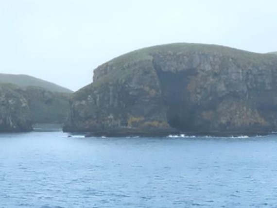 HDS25-25, Day 10, Pic3 © Unknown photographer - Oceanwide Expeditions.jpg