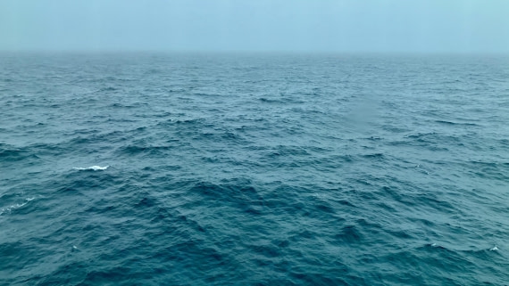 HDS25-25, Day 11, IMG_3662 © Unknown photographer - Oceanwide Expeditions.jpeg