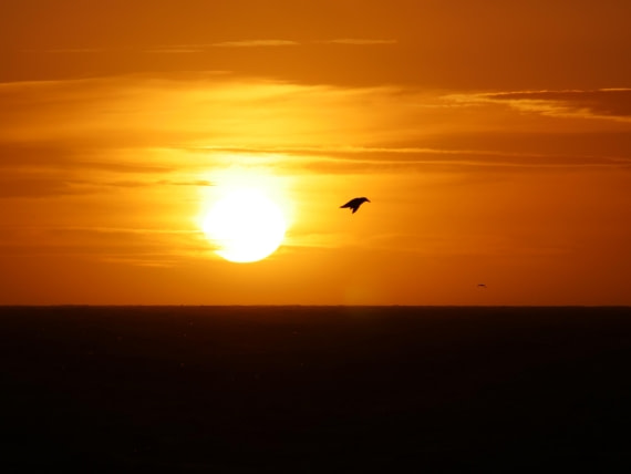 HDS25-25, Day 2, Jade-HDS25-25-Day2 (4) © Jade Heister - Oceanwide Expeditions.JPG