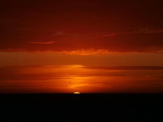 HDS25-25, Day 2, Jade-HDS25-25-Day2 (15) © Jade Heister - Oceanwide Expeditions.JPG