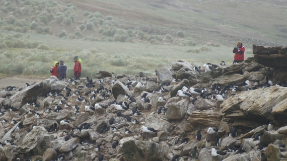 HDS25-25, Day 3, DSC01703 © Unknown photographer - Oceanwide Expeditions.JPG