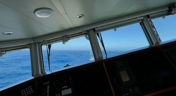 PLA25-25, Day 2, Picture5 © Unknown photographer - Oceanwide Expeditions.png