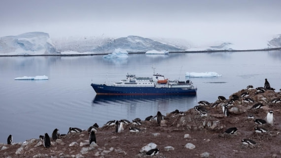 PLA25-25, Day 4, Picture12 © Unknown photographer - Oceanwide Expeditions.jpg