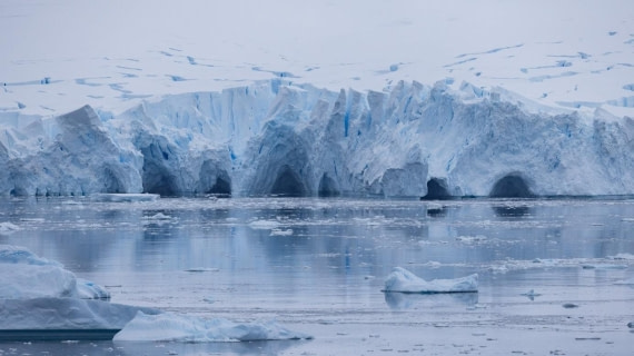 PLA25-25, Day 4, Picture14 © Unknown photographer - Oceanwide Expeditions.jpg