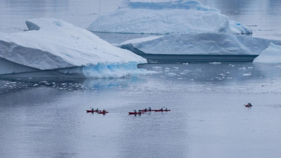 PLA25-25, Day 4, Picture16 © Unknown photographer - Oceanwide Expeditions.jpg