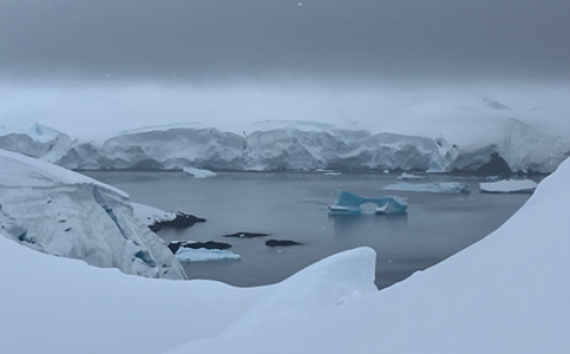 PLA25-25, Day 5, Picture30 © Unknown photographer - Oceanwide Expeditions.png