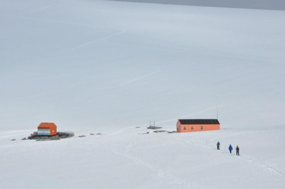 PLA25-25, Day 6, Picture34 © Unknown photographer - Oceanwide Expeditions.jpg