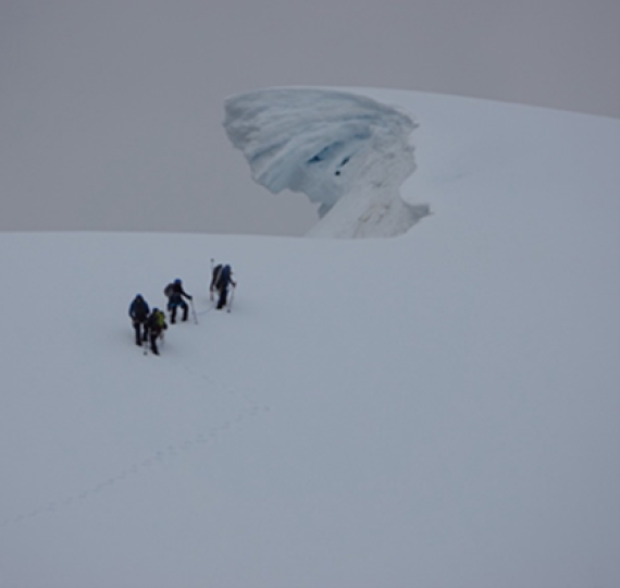 PLA25-25, Day 7, Picture48 © Unknown photographer - Oceanwide Expeditions.png