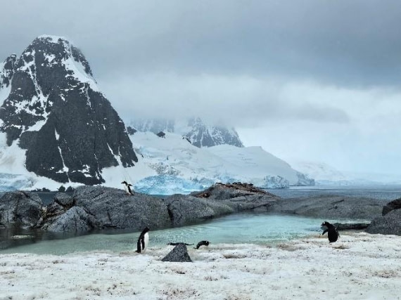 PLA25-25, Day 8, Picture51 © Unknown photographer - Oceanwide Expeditions.jpg