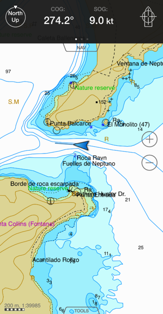 PLA25-25, Day 10, Picture65 © Unknown photographer - Oceanwide Expeditions.png