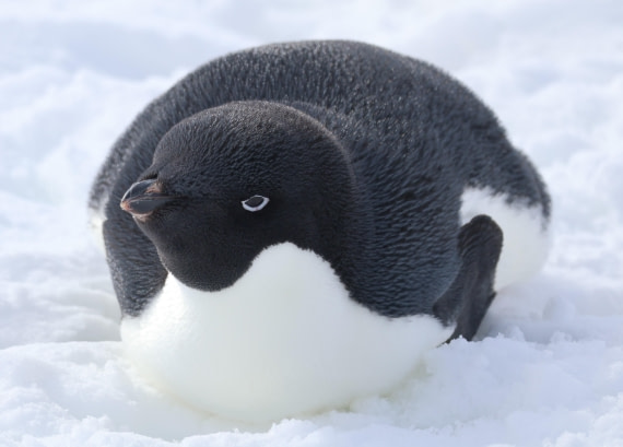 Up close and personal II