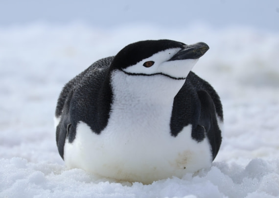 Up close and personal III