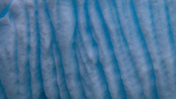 OTL26-25, Day 3, IMG_5150 © Koen Jongerling - Oceanwide Expeditions.jpg