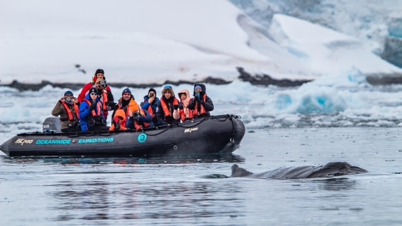 OTL26-25, Day 4, IMG_5213 © Koen Jongerling - Oceanwide Expeditions.jpg