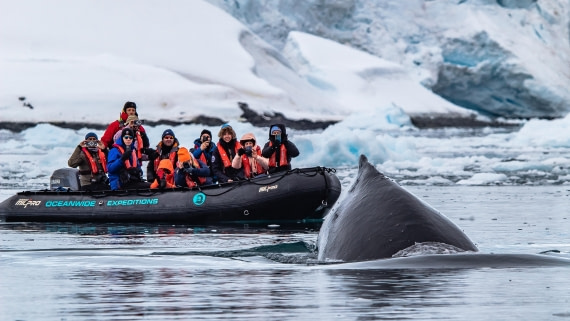 OTL26-25, Day 4, IMG_5215 © Koen Jongerling - Oceanwide Expeditions.jpg