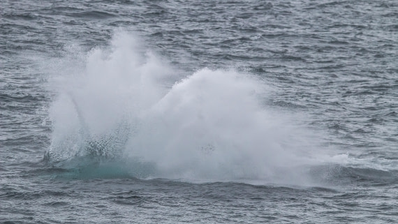 OTL26-25, Day 5, IMG_5336 © Koen Jongerling - Oceanwide Expeditions.jpg