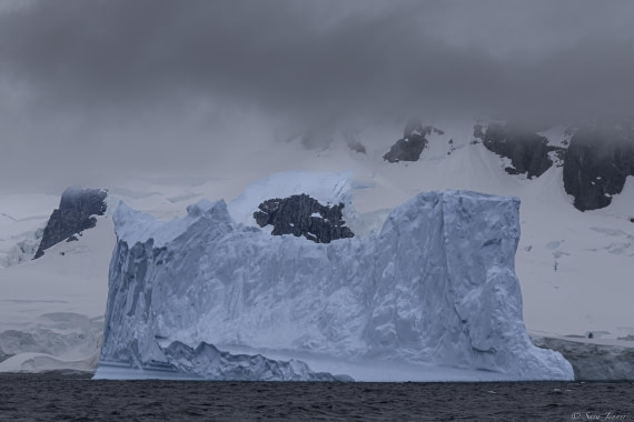 OTL26-25, Day 8, Foyn Harbour 1 © Sara Jenner - Oceanwide Expeditions.jpg