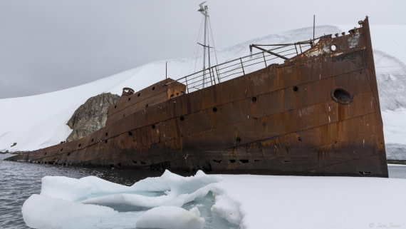 OTL26-25, Day 8, Foyn Harbour 3 © Sara Jenner - Oceanwide Expeditions.jpg