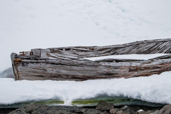 OTL26-25, Day 8, IMG_5816 © Koen Jongerling - Oceanwide Expeditions.jpg