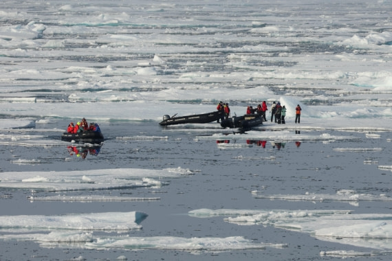 in the seals' territory