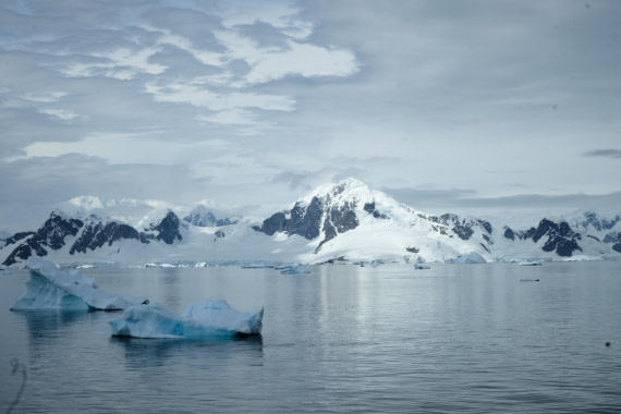 Antarctica Spotlight