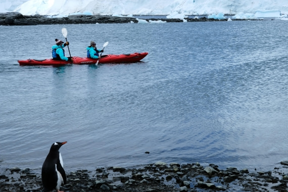 That's not how you swim