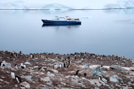 This Land is My Land