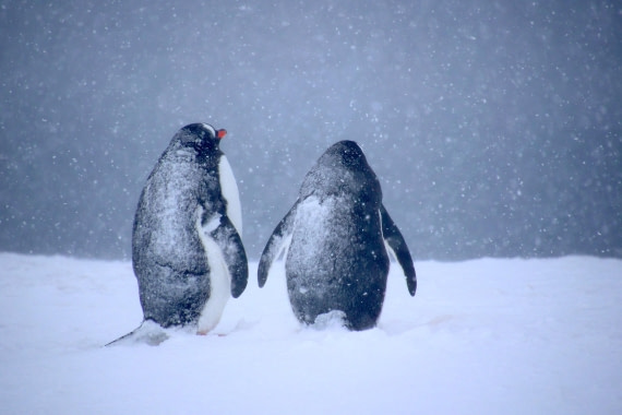 ich sehe nichts und du?