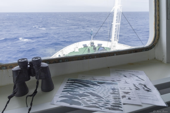 OTL27-25, Day 2, Bridge watch © Sara Jenner - Oceanwide Expeditions.jpg